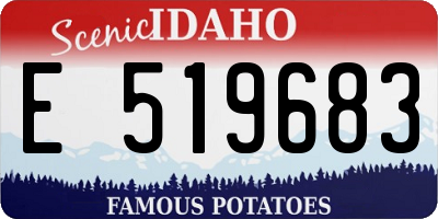 ID license plate E519683