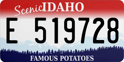 ID license plate E519728
