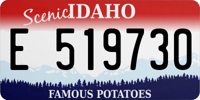 ID license plate E519730