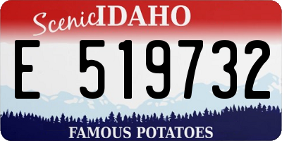 ID license plate E519732