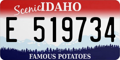ID license plate E519734