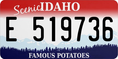 ID license plate E519736