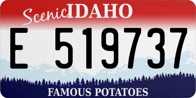 ID license plate E519737