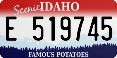 ID license plate E519745