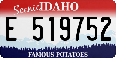 ID license plate E519752