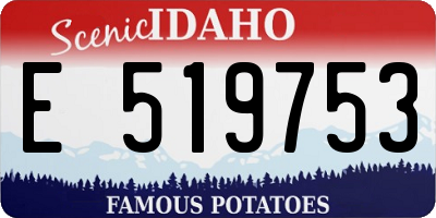 ID license plate E519753