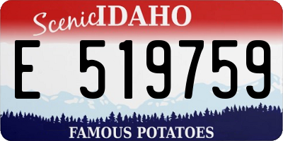 ID license plate E519759