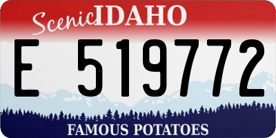 ID license plate E519772