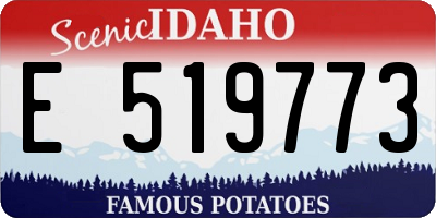 ID license plate E519773