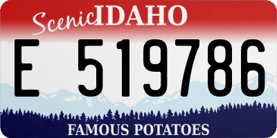ID license plate E519786