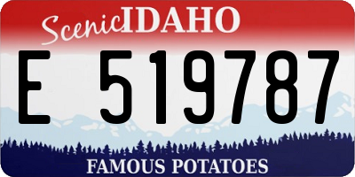 ID license plate E519787