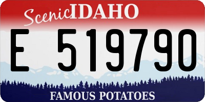 ID license plate E519790