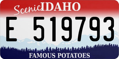 ID license plate E519793