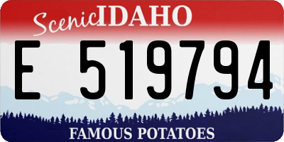 ID license plate E519794