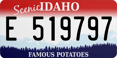 ID license plate E519797