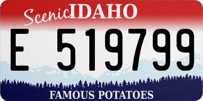 ID license plate E519799
