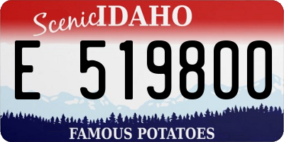 ID license plate E519800