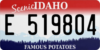 ID license plate E519804