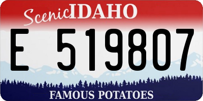 ID license plate E519807