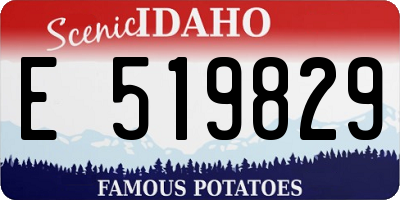 ID license plate E519829