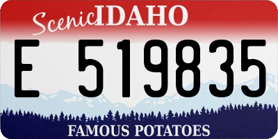 ID license plate E519835