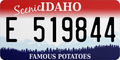 ID license plate E519844