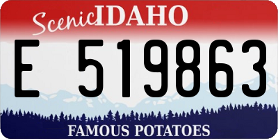 ID license plate E519863
