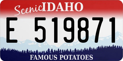 ID license plate E519871