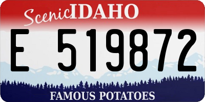 ID license plate E519872