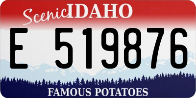 ID license plate E519876