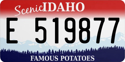 ID license plate E519877
