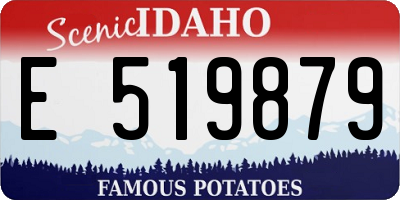 ID license plate E519879