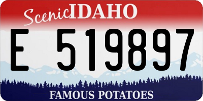 ID license plate E519897