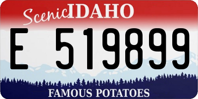 ID license plate E519899