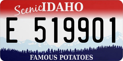 ID license plate E519901