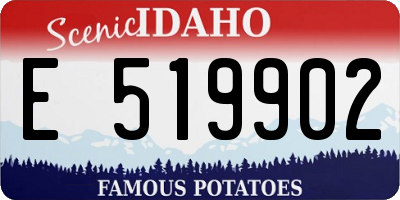 ID license plate E519902