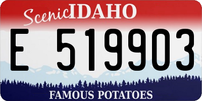 ID license plate E519903