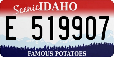 ID license plate E519907