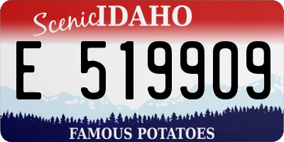 ID license plate E519909