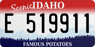 ID license plate E519911