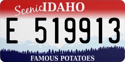 ID license plate E519913