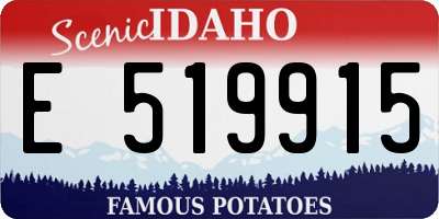 ID license plate E519915