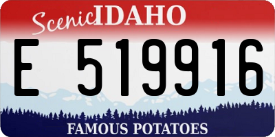 ID license plate E519916