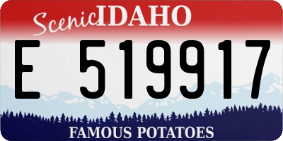 ID license plate E519917
