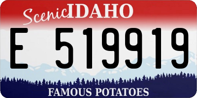 ID license plate E519919
