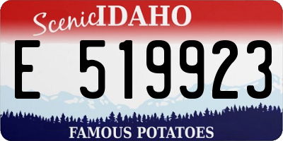 ID license plate E519923