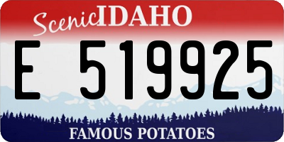 ID license plate E519925