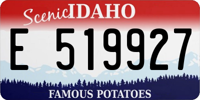 ID license plate E519927