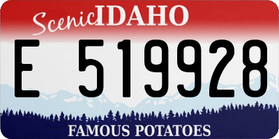 ID license plate E519928