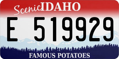 ID license plate E519929